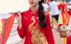 青藤之凉txt下载